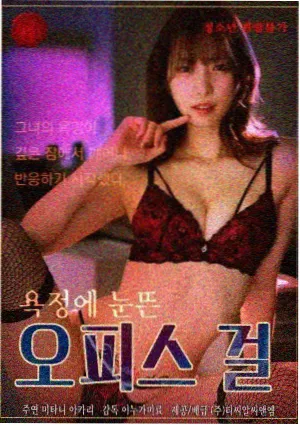 第七个证人剧集封面